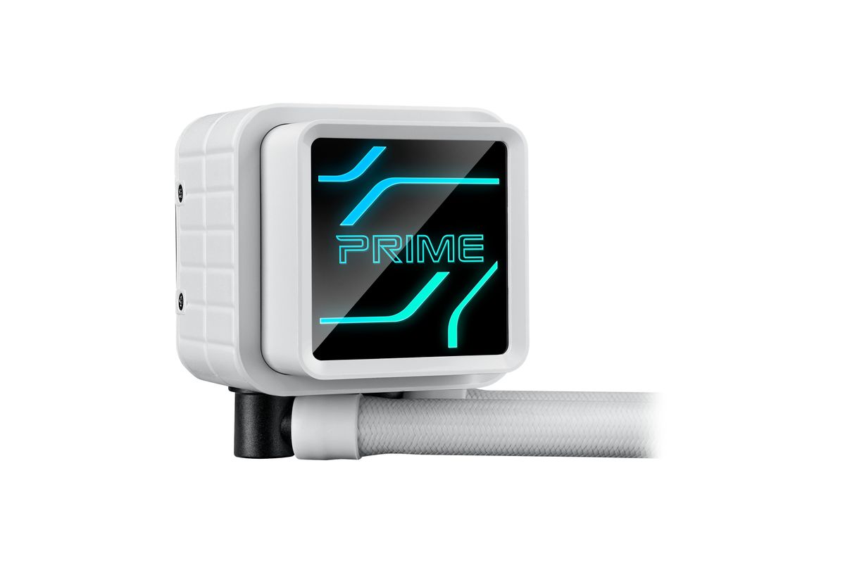 Bild