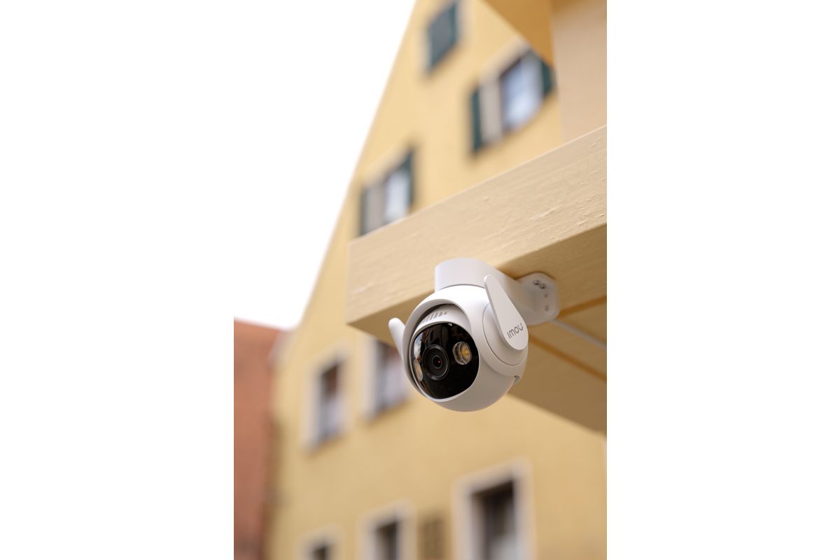 Bild