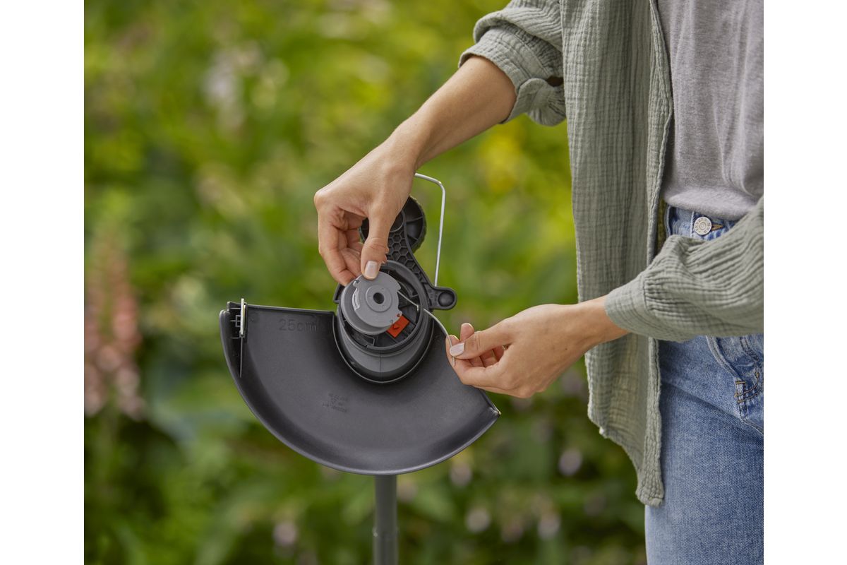 Bild