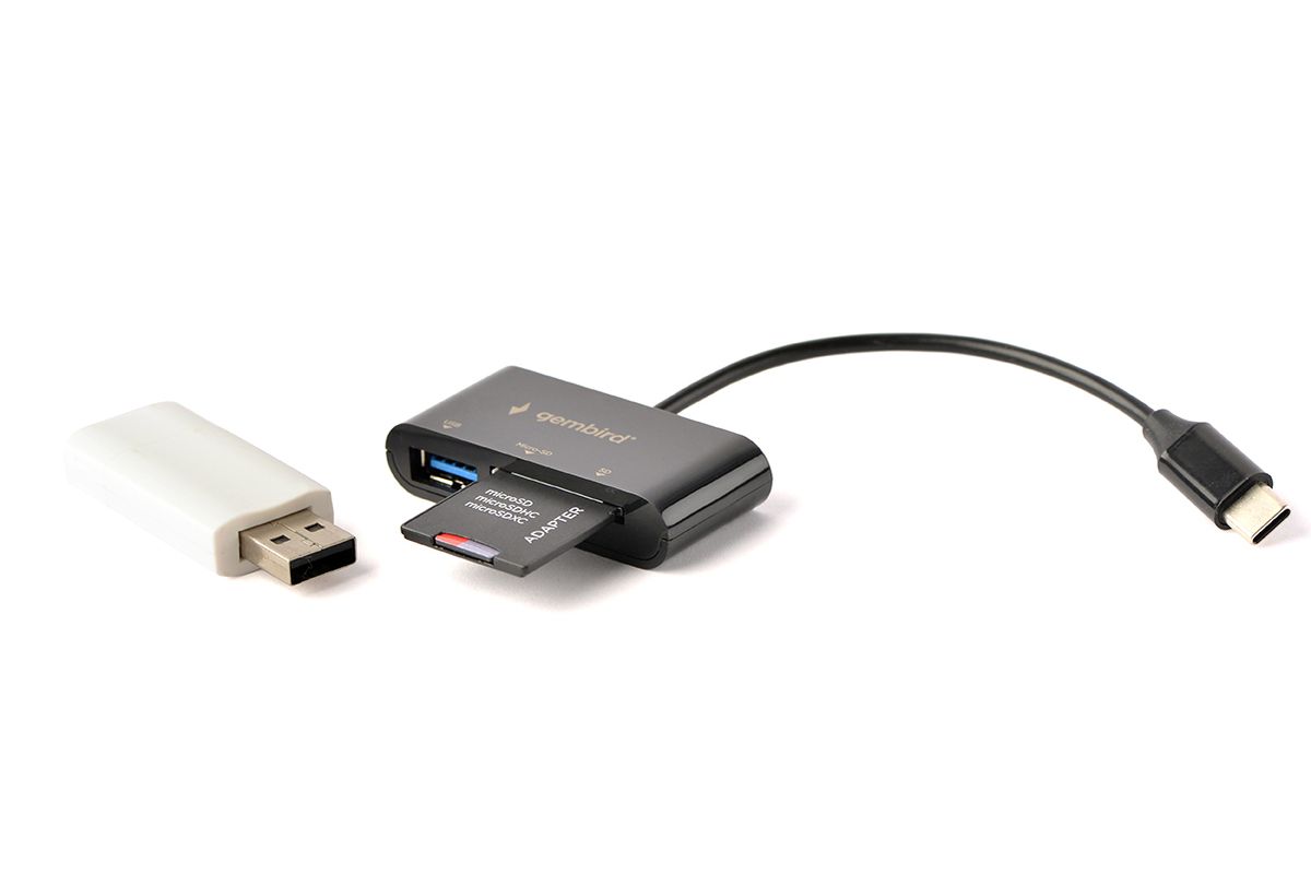Bild