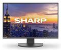 SHARP 61,0cm (24")  MS DD-EA242W  16:10 DP+HDMI+USB-C