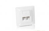Equip Cat5e Unterputzdose+Frontplatte 2xRJ45 45°     RAL1013