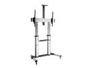 Equip Bodenstandhalter 60"-100"/1TFT  100kg 2Ablagen schwarz lite Retail