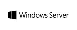 Fujitsu Windows Server 2019 100 User   CAL