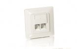 Equip Cat5e Unterputzdose+Frontplatte 2xRJ45 45°5Stk RAL1013