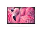 PHILIPS Hotel TV  43HFL4014/12   108,0cm(43") PrimeSuite