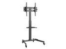 Equip Bodenstandhalter  32"-55"/1TFT   35kg 1Ablage  schwarz lite Retail