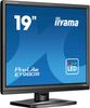 IIYAMA 48.0cm (19")   E1980S-B1     5:4 HDMI+DP black