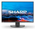 SHARP 61,0cm (24")  MS EA241W  16:10 DP+HDMI+USB+DVI-D IPS