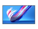 PHILIPS Q-Line 65BDL3650Q   165,1cm(65") 18/7/UHD/Android10 (Speditionsversand)
