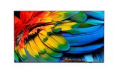 PHILIPS Hotel TV  58HFL6214U/12  146,0cm(58") MediaSuite (Speditionsversand)