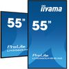 IIYAMA 139.0cm(55") LH5560UHS-B1AG 16:9 3xHDMI+2xUSB VA retail (Speditionsversand)