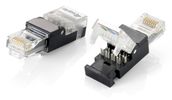 Equip Stecker Cat6   ungeschirmt RJ45 wzf.      2Stk transp. Polybeutel