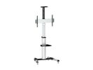 Equip Bodenstandhalter  37"-70"/1TFT   50kg 2Ablagen  silber lite Retail
