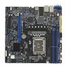 ASUS P13R-M         microATX  1x LGA 1700 DDR5  2x1G  ASMB11