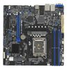ASUS P13R-M         microATX  1x LGA 1700 DDR5  2x1G  ASMB11