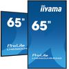 IIYAMA 164.0cm(65")   LH6560UHS-B2AG 16:9 3xHDMI+2xUSB Spk (Speditionsversand)