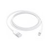 Apple Lightning auf USB Kabel (1m)