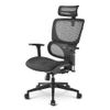 Sharkoon Bürostuhl OfficePal C30   Fabric/Mesh      schwarz