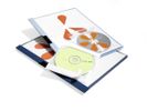 DURABLE CD-Selbstklebetasche FIX f 1 CD PP  transp. 10 Stck