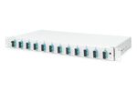 DIGITUS LWL Spleißbox 1HE bestückt 12x SC DX OM3 grau