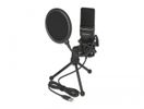DELOCK USB Kondensator Mikrofon Set