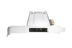 ToughArmor M.2 NVMe SSD to PCIe 3.0 x4 Wechselrahmen
