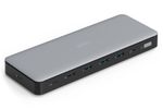 DIGITUS Docking USB-C->HDMI,DP,USBA,USBC,RJ45,DC,Audio silbe