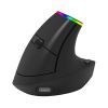 Ordissimo ergonomic wireless mouse