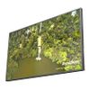 DynaScan DS752LT5   190,50cm (75") High Brightness (Speditionsversand)