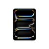 Apple iPad Pro 11" WIFI 256GB silber (5.Gen.) iOS