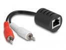 DELOCK Stereo Audio Extender RJ45 Bu zu 2x Cinch St 50m 2 St
