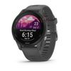 Garmin Forerunner 255 Grey 46mm