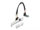 DELOCK Konverter M.2 Key B+M 1 x RJ45 2,5 Gigabit LAN