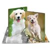 HERMA Sammelmappe A3 Hunde Polypropylen