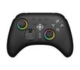 Deltaco Controller 2 C Taste RGB Wireless schwarz Switch