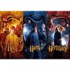 ThumbsUp! Puzzle Harry Potter "KammerdesSchreckens"  50Teile