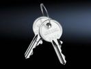 Rittal Schaltschrank-Schlüssel 3524E 2 Stück