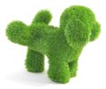 AniPlants, Grasfigur, "Hund" pinkelnd, Gartendeko, 35cm