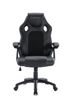 Raptor Gaming Stuhl GS-40 PU + fabric        schwarz/schwarz