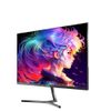 Chiq 24F650  24"  60cm 16:9  100Hz 1920x1080 black