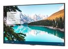 VIVITEK Display DK433 109 cm (43"), 4K-UHD