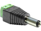 DELOCK Adapter Terminalblock 2Pin -> DC 2,1 x 5,5mm Stecker