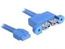 DELOCK USB3.0 Kabel Pinheader 19pin -> 2x A Bu/Bu 0.4