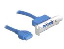 DELOCK Slotblech 2x USB3.0 LowProfile