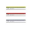 Herlitz Lineal           my.pen 17cm farb.sort.     1er Blister
