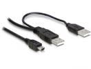 DELOCK USB Y-Kabel 2x A -> Mini-B St/St 1.00m