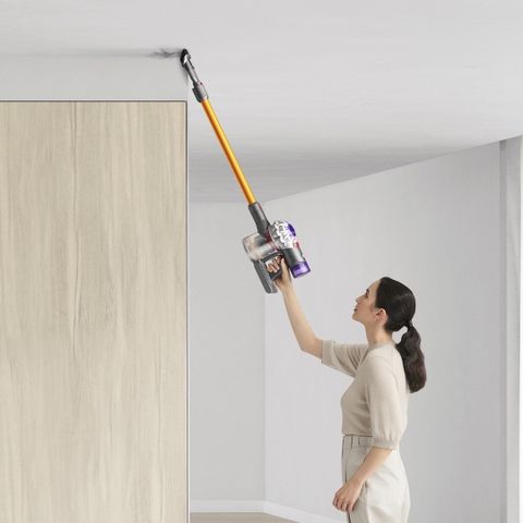 Dyson V8 Special Edition (2023)