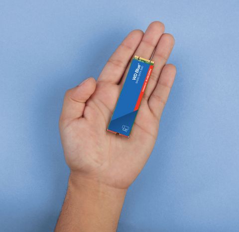 SSD WD Blue   M.2 2280       500GB SATA3 SA510 intern