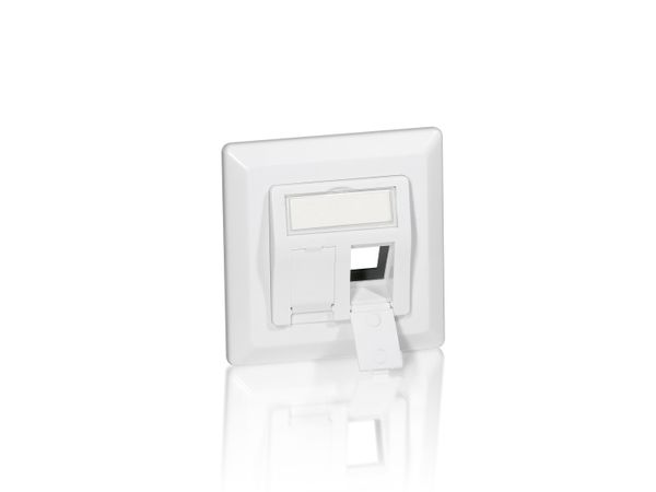 Equip Frontplatte 2xKeystone Jack 45° RAL9010 Polybeutel